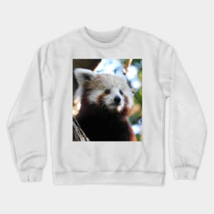 Maiya The Red Panda Crewneck Sweatshirt